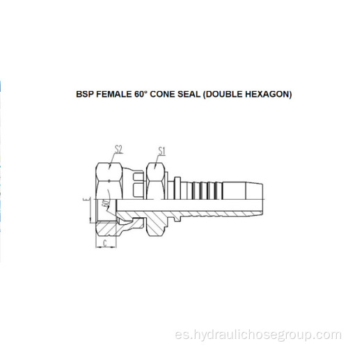 BSP Hembra de 60 ° Sello cónico Doble Hexágono 22611D